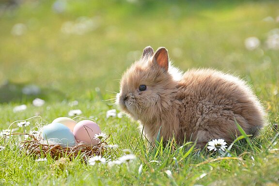 easter-2197043_1920.jpg  